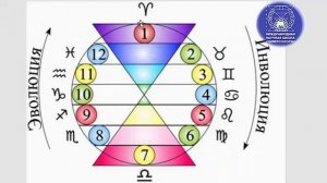 Обернуть Колесо жизни вспять