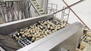 Предпродажное тестирование калибратора КЛ-920 производства SEMER (СЕМЕР)