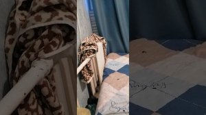 ЭТО ПРОСТО КАПЕЦ