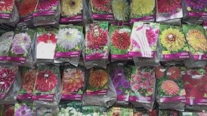 Обзор растений в Супер-огороднике. Г.Челябинск