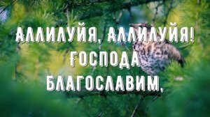 Церковь Божия все вместе - минус мой 2