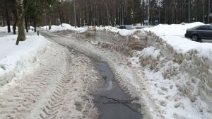 0бсуждаем на прогулке /Моя-ваша зависимость от интернета/Нужен ли этикет в школе?