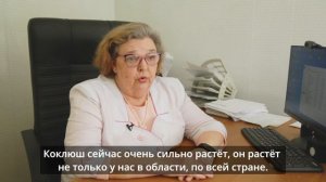 3. Беременность и вакцинация