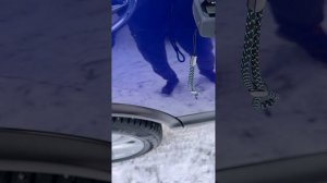 Nissan Qashqai 2017 2.0CVT 05-03-2026