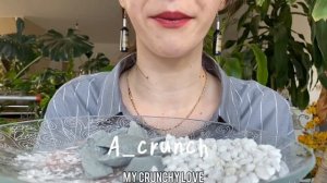 Песчанка и Голубая узбечка/Сухой хруст/ ASMR 💙🤍