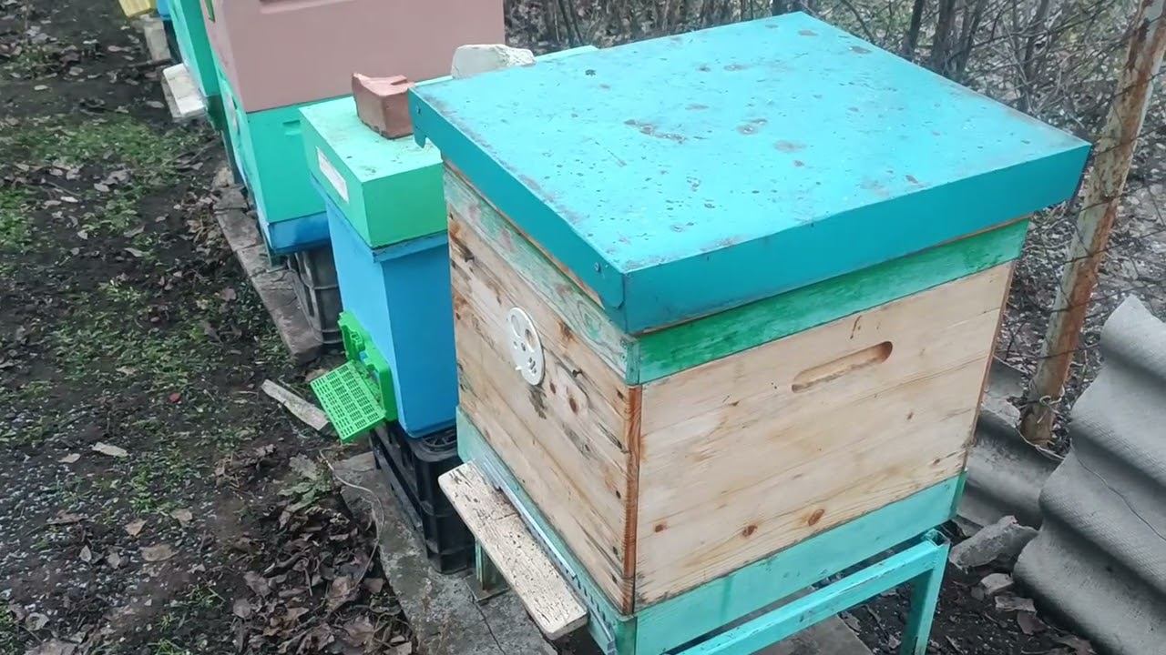 В чём разница Рут и Дадан в зимовке пчёл