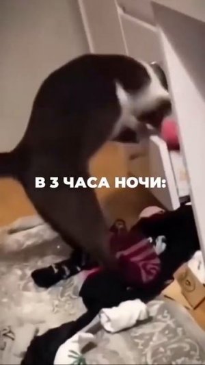 Именно так!!!)