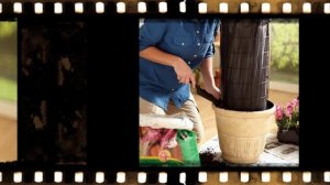 Деревня Хаббитон, вертикальная грядка и летние супы !