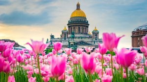 Трансляция богослужения Новоапостольской Церкви, г. Санкт-Петербург, 08.03.2026, 11:00 мск