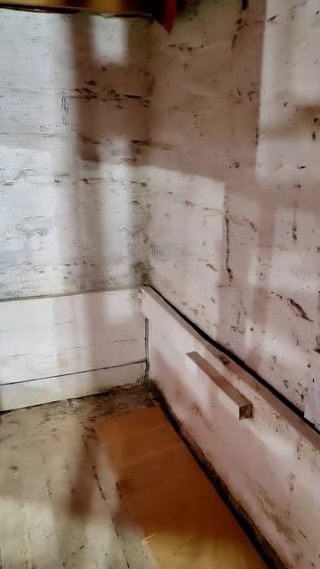 Строительство пятизвёздочного отеля для цыплят ⭐🐥