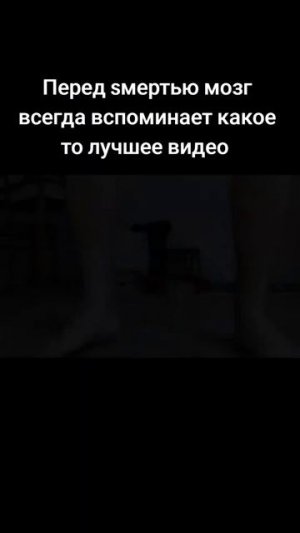 лучшее видео