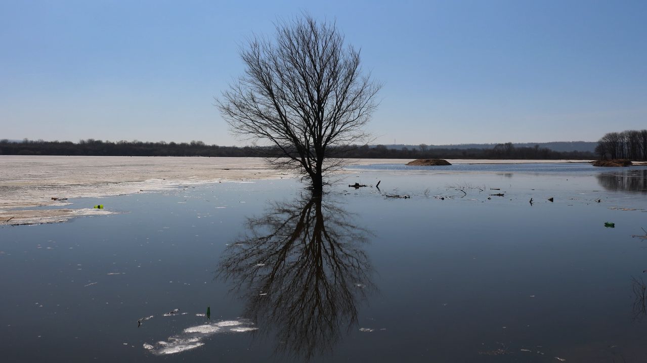 ПРОСЫПАЙТЕСЬ, ТАБАКОВОДЫ! "МАРТОВСКИЙ ДОЖДЬ"! Клип моей песни из цикла «Поэзия земли нижегородской»