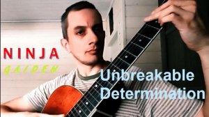 Unbreakable Determination (Ninja Gaiden stage 4-2) - акустический гитарный кавер
