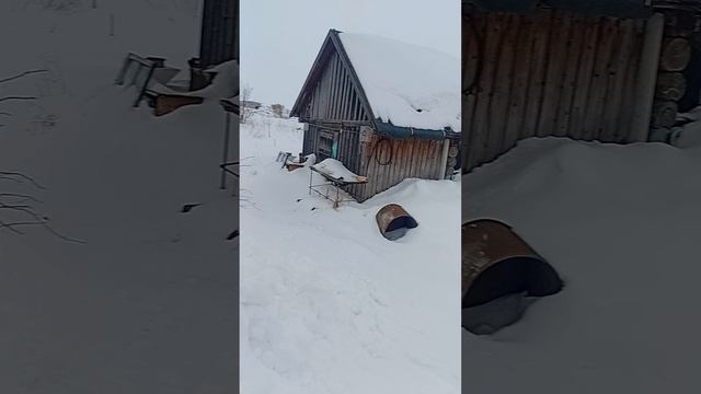 Приехали в деревню. А там...)