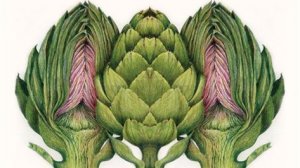 Растения в интерьере.