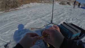 ТОРГАЙ! В ЭТОЙ ДИКОЙ РЕКЕ ТОННЫ ЩУКИ