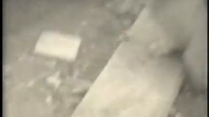 Анатолии Балуев "Мы были дымом"