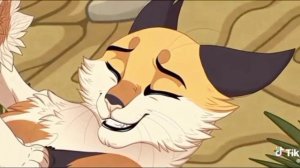 коты воители