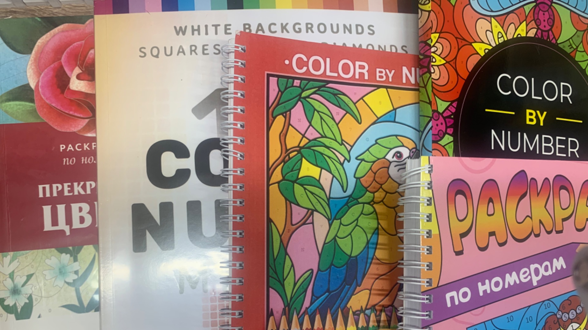 Челлендж «Раскрась кота за 24 часа»