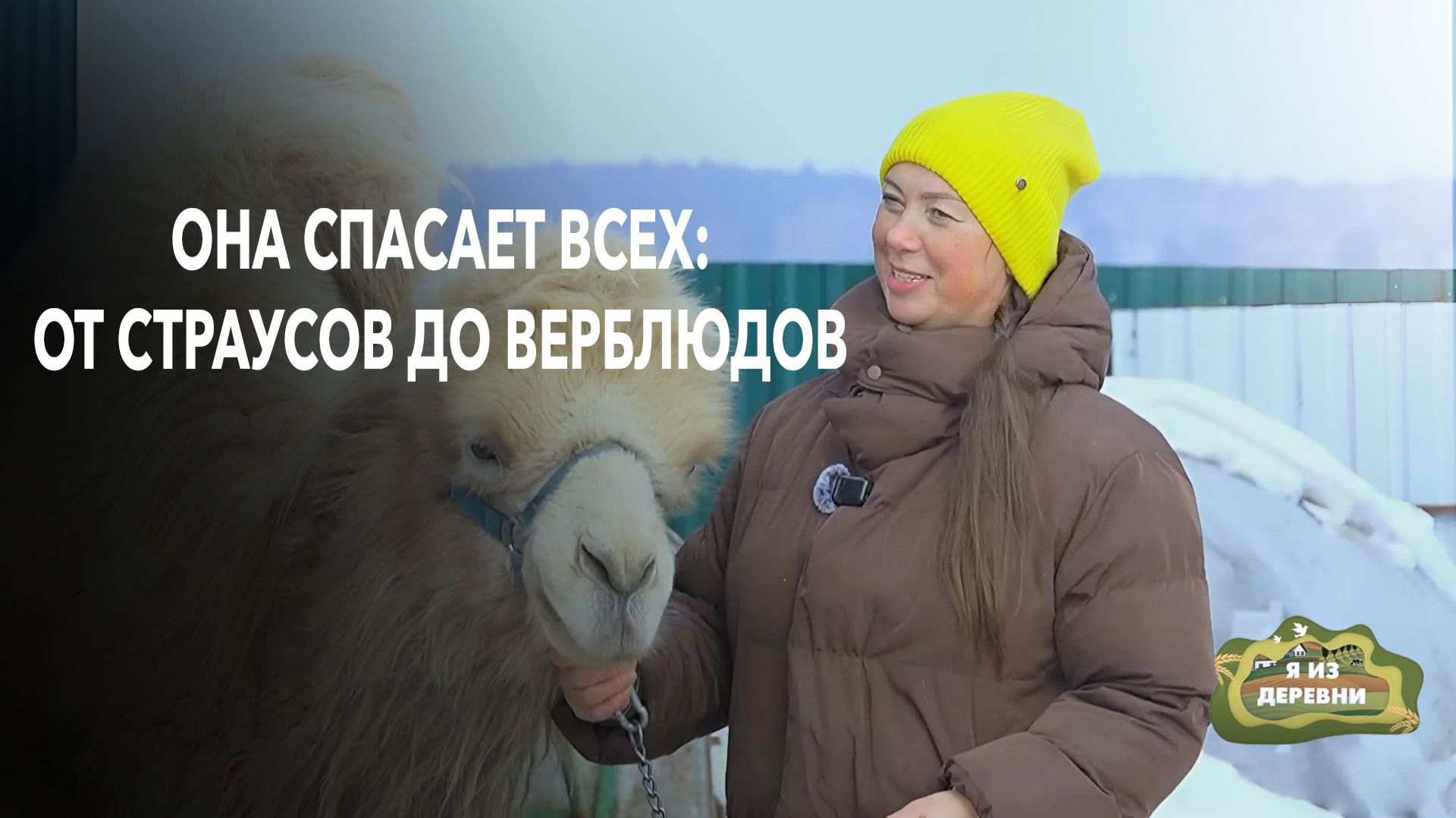 Она спасает всех: от страусов до верблюдов. Как это возможно?