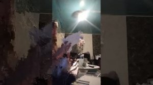 делаю дом для собак+ ночник из азона