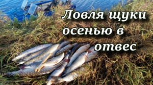 ловля щуки осенью в отвес (отвесное блеснение)