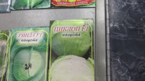 2278.  ВПЛ.  Обзор капусты различных сроков спелости.