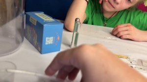 Химические водоросли Беатрис