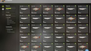 ТОЧКА НА ЧЕХОНЬ И КРАСНОПЕРКУ!!!СЕВЕРСКИЙ ДОНЕЦ - РУССКАЯ РЫБАЛКА 4