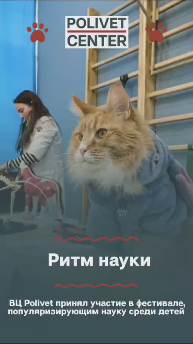 Проекты ВЦ Поливет