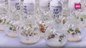 "Неделя науки — 2026" в Самарской области