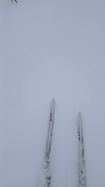 ЗИМА НЕДАРОМ ЗЛИТСЯ...