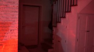 СТРАШНЫЙ ПОДАРОК НА ДЕНЬ ВСЕХ ВЛЮБЛЕННЫХ!