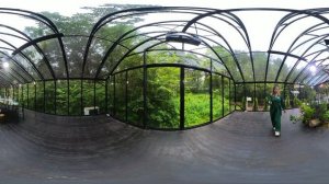 Дождливый день на площадке Лесная Роса | Forest dew