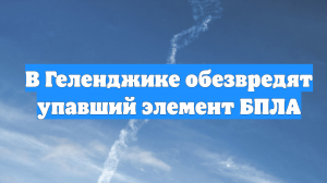 В Геленджике обезвредят упавший элемент БПЛА