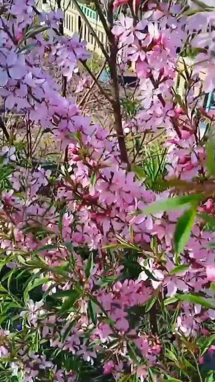 Не стоит спорить! #цитаты 05-03-2026