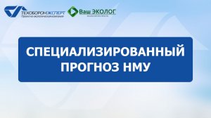 Специализированный прогноз НМУ