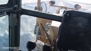 Курская марь 2025