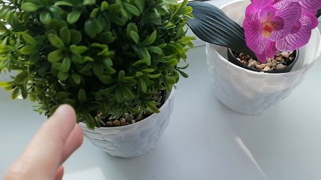 Сегодня тёплый день