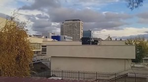 "Снова роддом №2, только на этот раз в октябре". Палата №6. Вид из окна на осень в центре Волгограда