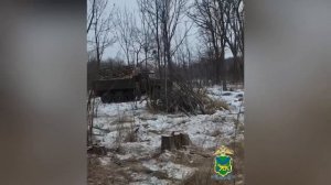 В Спасском округе Приморья выявлен факт незаконной рубки лесных насаждений на сумму более 6,7 млн
