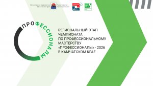 Профессионалы 2026