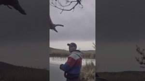 рыбалка 🔥 СВОБОДА 🔥 на КМВ 
## подпишись ##