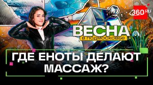 Ностальгия по СССР и еноты: что посмотреть в Сергиевом Посаде. Весна в Подмосковье
