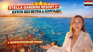 БЕЗВЕТРЕННАЯ БУХТА и КОРАЛЛЫ в Хургаде⁉️ Stella Gardens Resort 5* Египет🇪🇬 Пляж, еда, территория