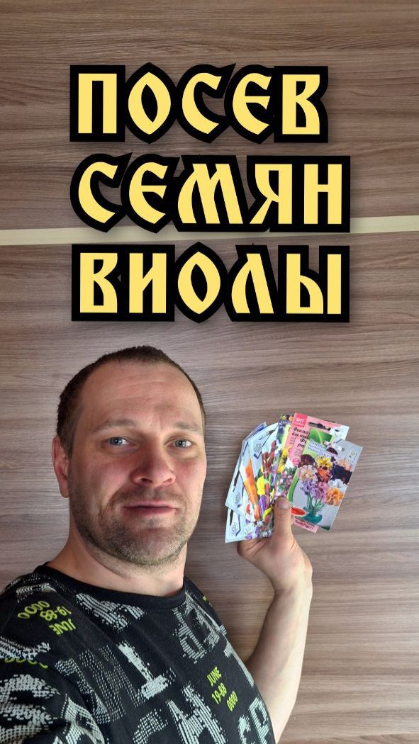 Посев семян виолы на рассаду. Анютины глазки