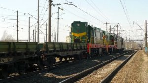 Зеленые Поезда в Рыбацком: стук колёс и тайна маршрута