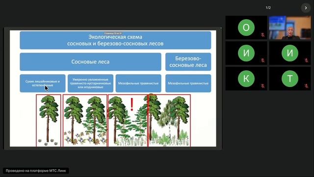 Природа и квазиприрода в формировании зелёного каркаса города