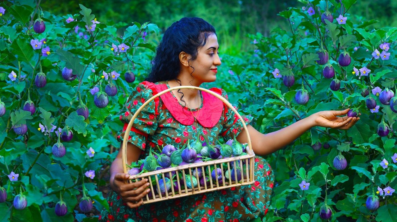 Рецепты с тайскими баклажанами 🍆🥘 на обед и пудинг с попкорном «Счастье»!