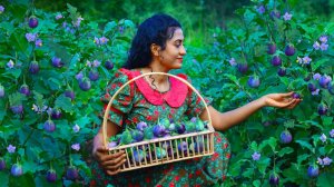 Рецепты с тайскими баклажанами 🍆🥘 на обед и пудинг с попкорном «Счастье»!